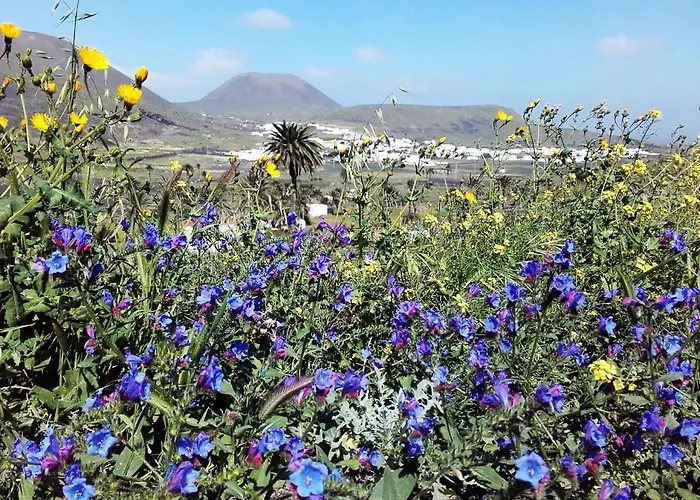 Casa Jasmin * Haría
