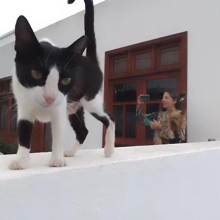 Casa Jasmin * 海瑞亚